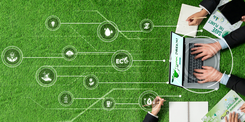 green lawn, computer, network