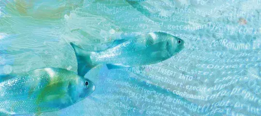 fish in a sea of ​​computer code