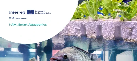 I-AM_Smart Aquaponics Dissemination Workshop poster